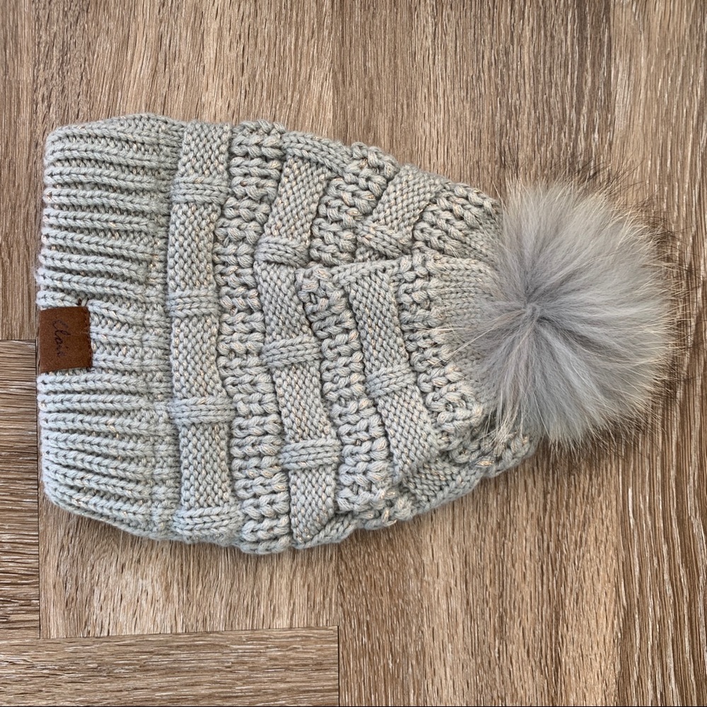 NWOT Silver Beanie with Pom-Pom